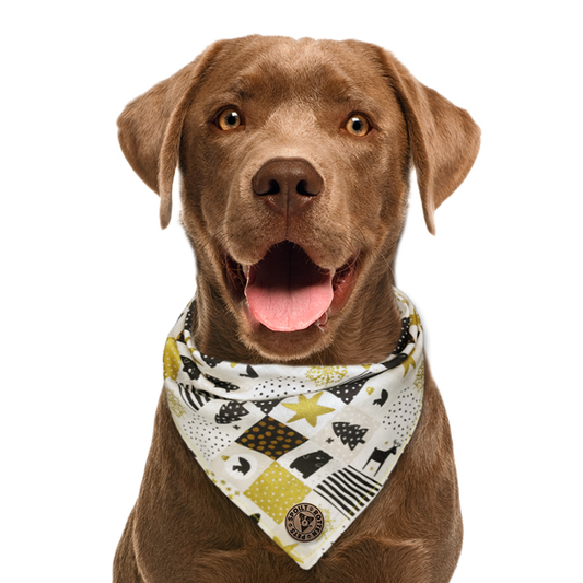 The Trafalgar - Christmas Festive Squares Tied Dog Bandana