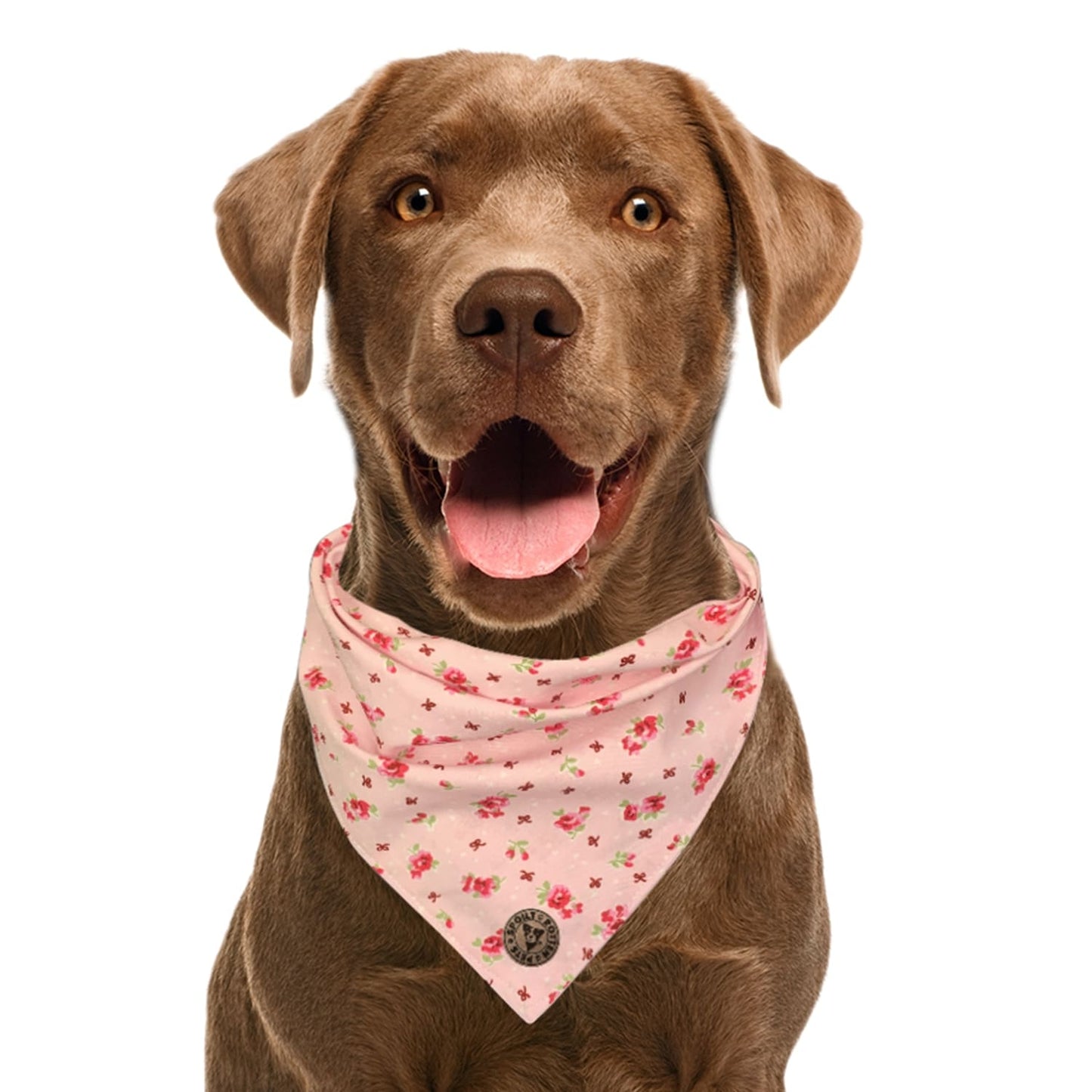 The Chelsea - Pink Vintage Rose Dog Bandana