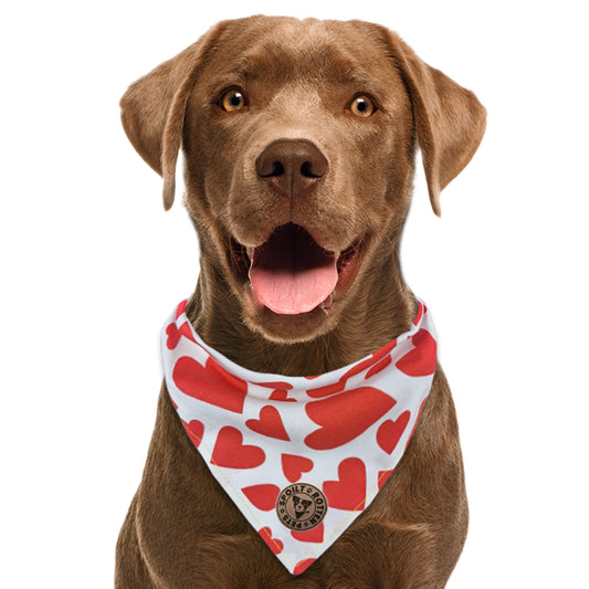 The Romsey - Red Hearts Tied Dog Bandana