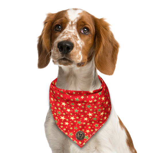 The Piccadilly - Christmas Green & Gold Stars Tied Dog Bandana