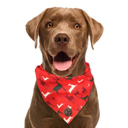 The Camden - Red Stag Tied Dog Bandana