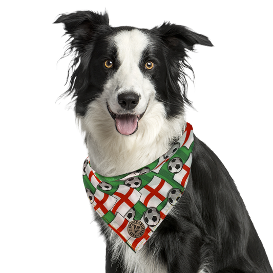 The Wembley - Football Flag Tied Dog Bandana