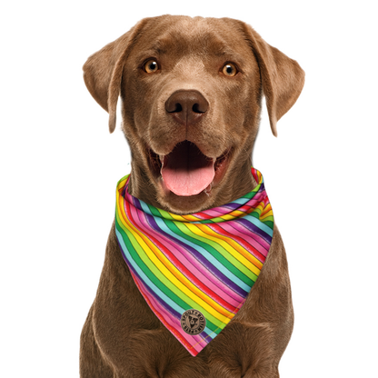 The Soho - Pride Thin Rainbow Tied Dog Bandana