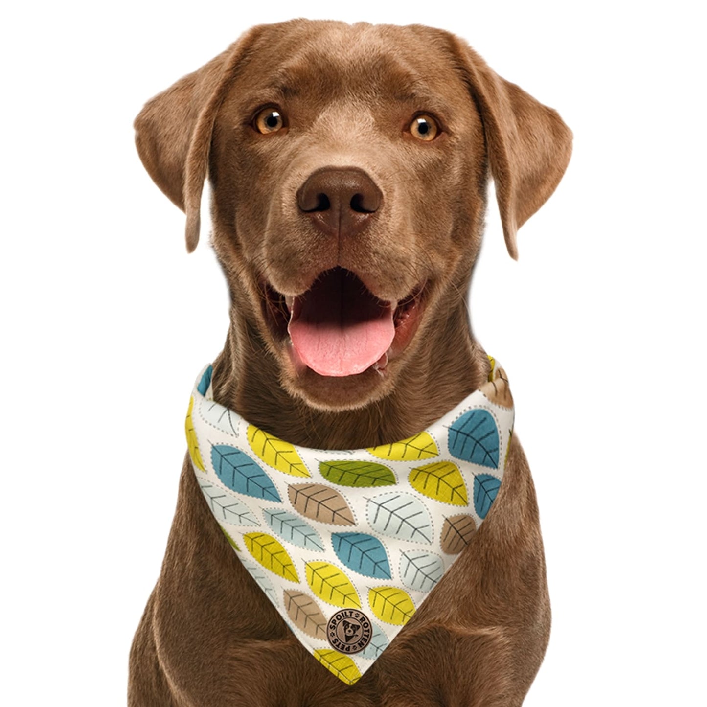 The Cotswold - Leaves Spring Tied Dog Bandana