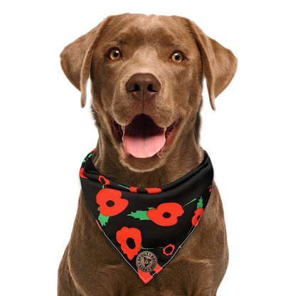 The Westminster - Poppy Tied Dog Bandana