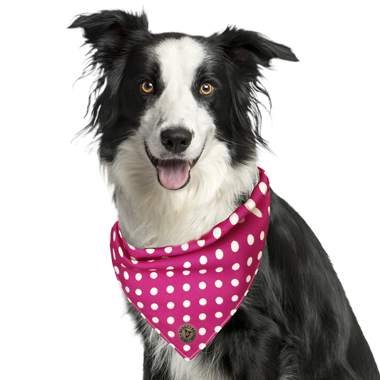 The Essex - Polka Dot Pink Tied Dog Bandana