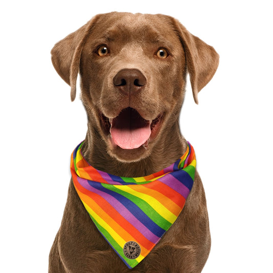 The Brighton - Pride Rainbow Stripe Tied Dog Bandana