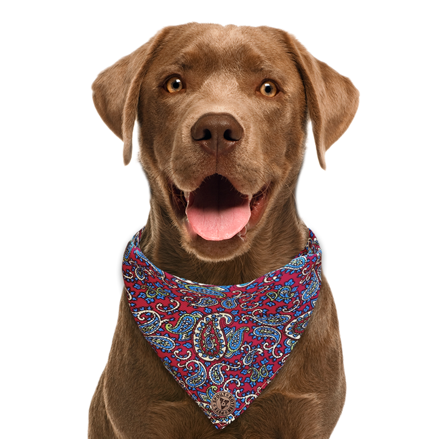 The Marlborough - Paisley Cord Red Tied Dog Bandana