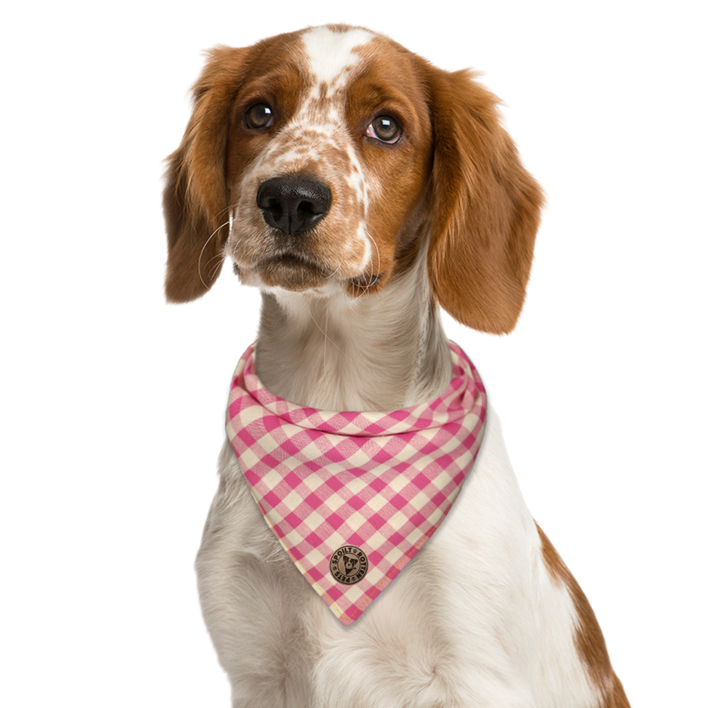 The Norfolk - Gingham Pink Tied Dog Bandana