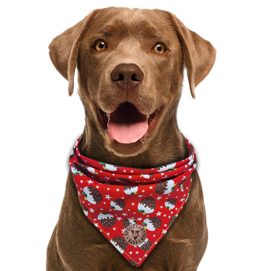 The Bakewell - Christmas Pudding Tied Dog Bandana