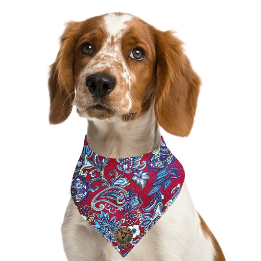 The Chester - Paisley Floral Burgundy Tied Dog Bandana