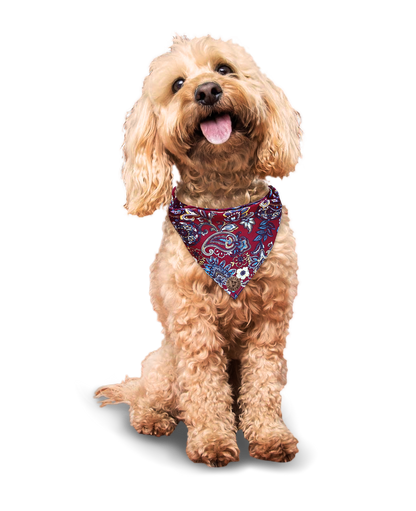 The Chester - Paisley Floral Burgundy Tied Dog Bandana