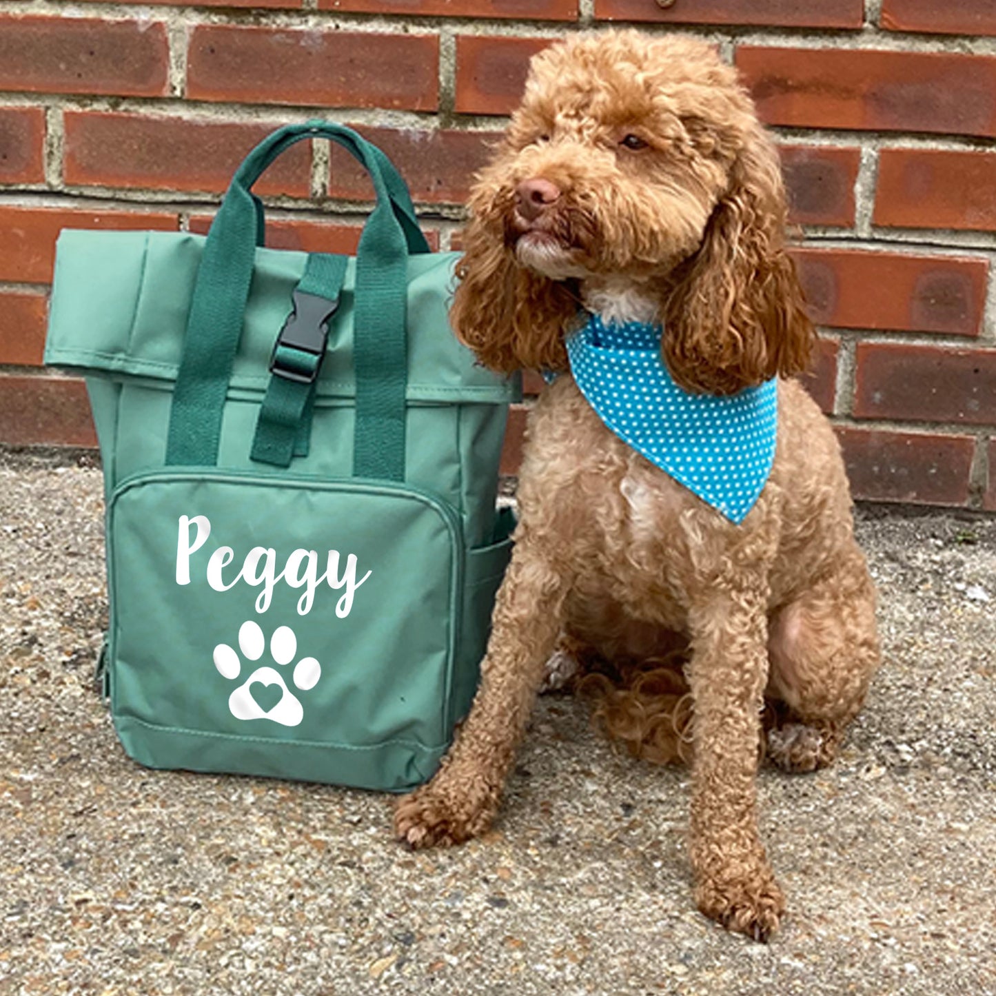 Sage Green Heart & Paw Backpack With Any Name Or Wording