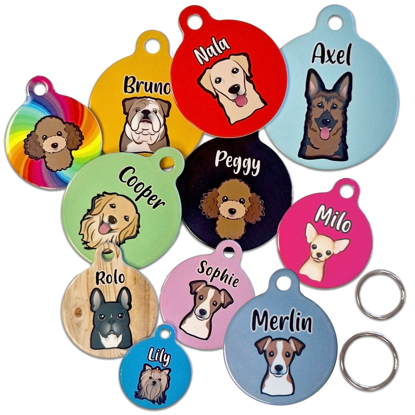 31mm Diameter Medium Size - Border Terrier Dog
