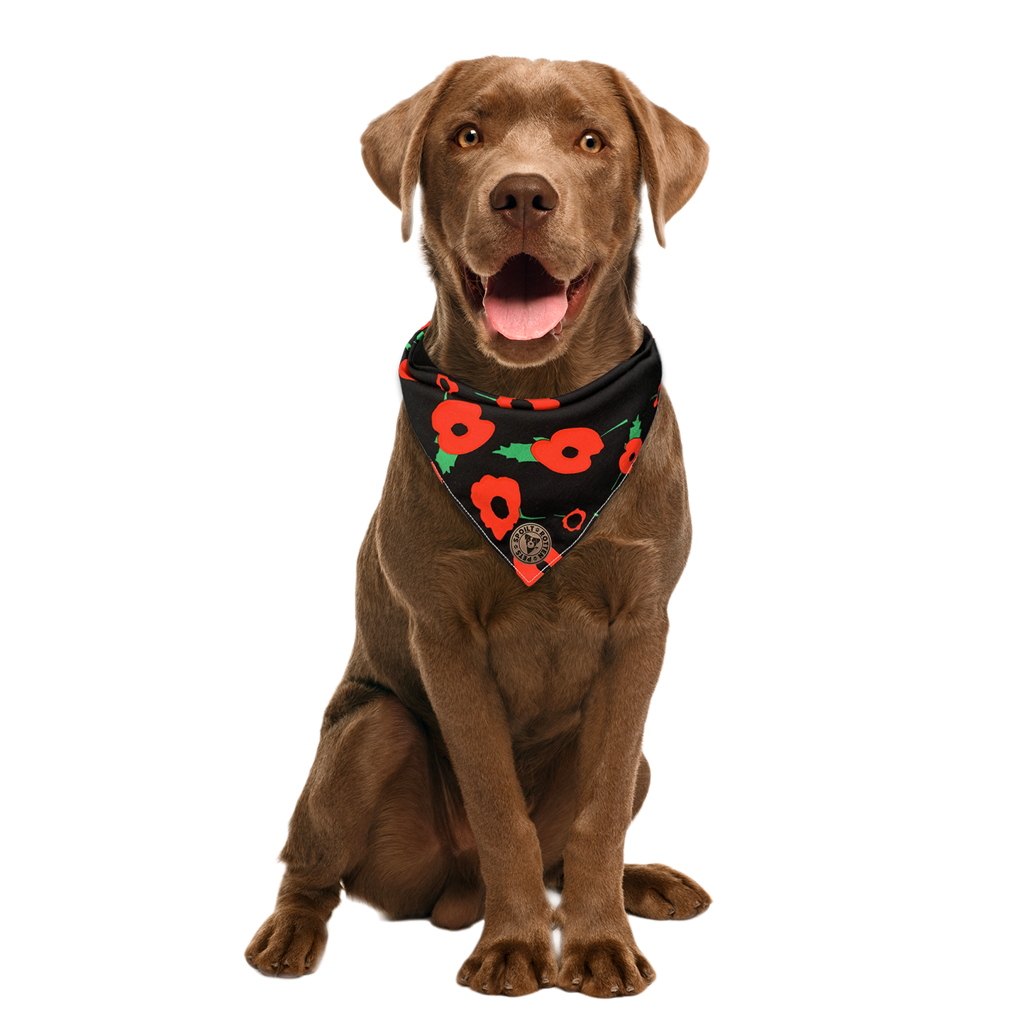 The Westminster - Poppy Tied Dog Bandana