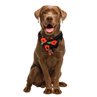 The Westminster - Poppy Tied Dog Bandana