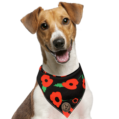 The Westminster - Poppy Tied Dog Bandana