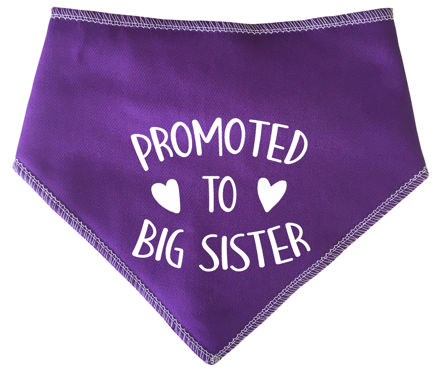 Promoted To Big Sister Dog Bandana