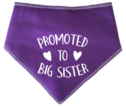 Promoted To Big Sister Dog Bandana