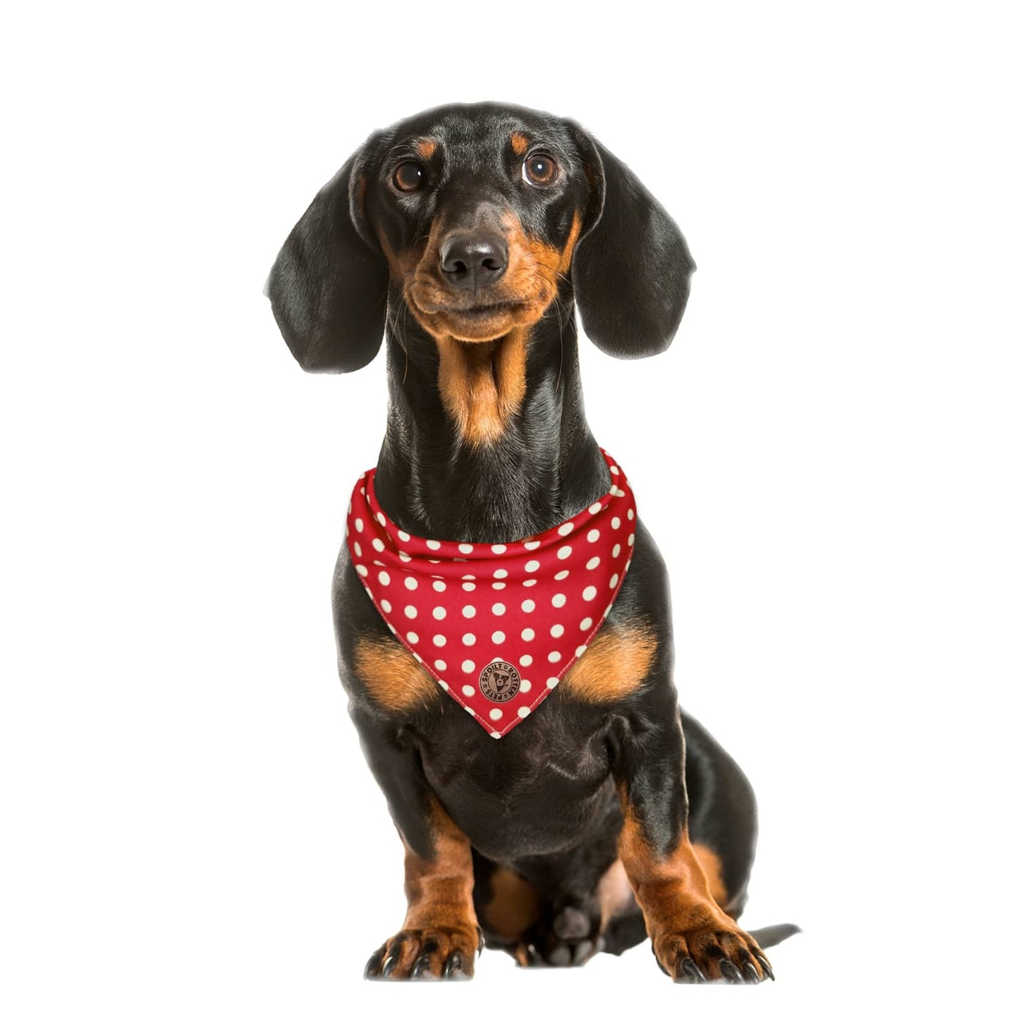 The Dover - Polka Dot Red Tied Dog Bandana