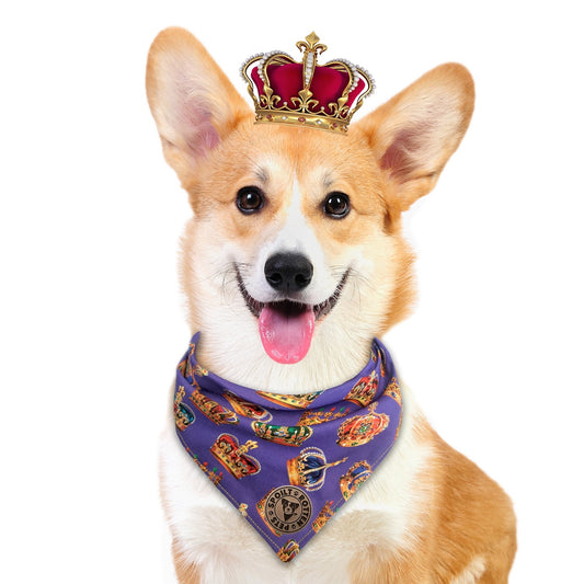 The Warwick - Royal Crown Tied Dog Bandana