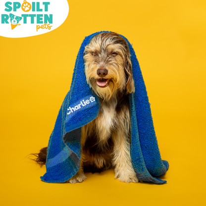 Royal Blue Pet Towel Personalised With Name or Wording