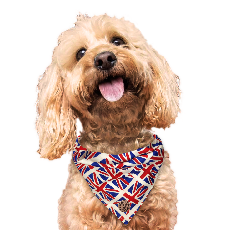 The London - Union Jack Tied Dog Bandana