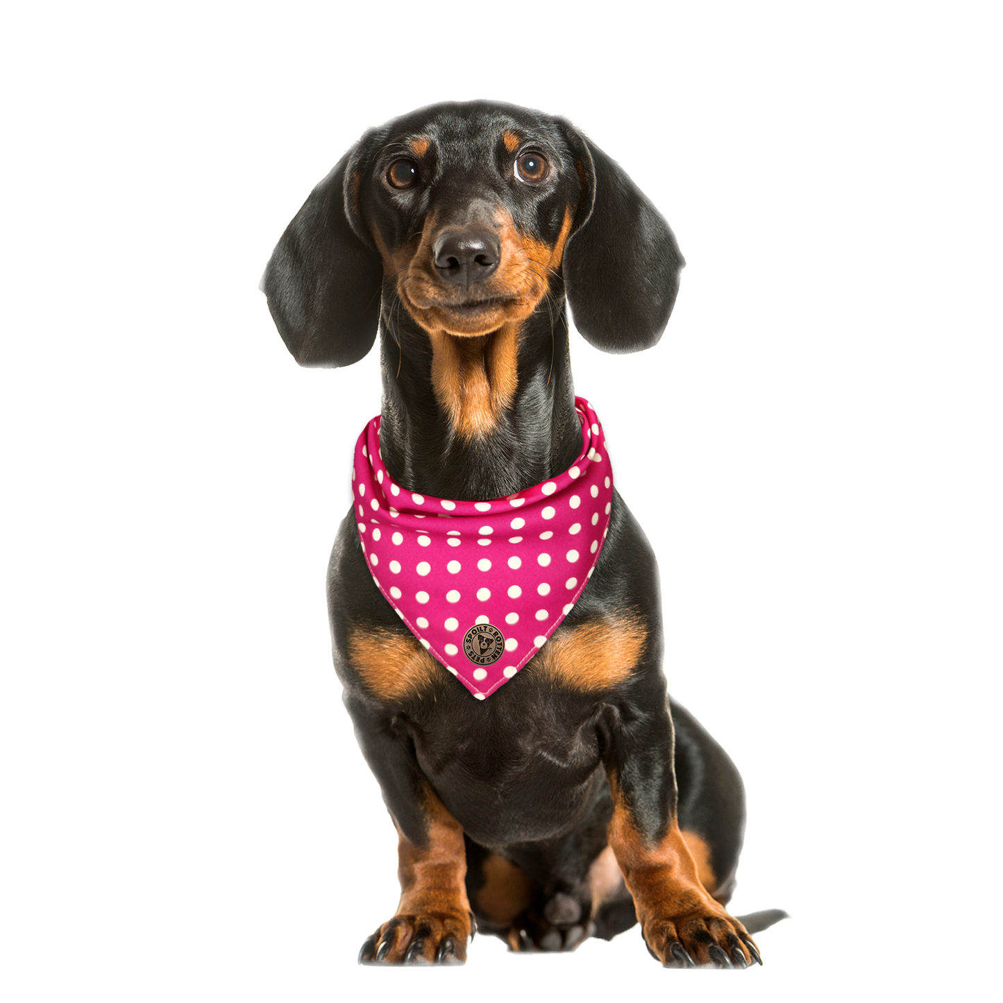 The Essex - Polka Dot Pink Tied Dog Bandana