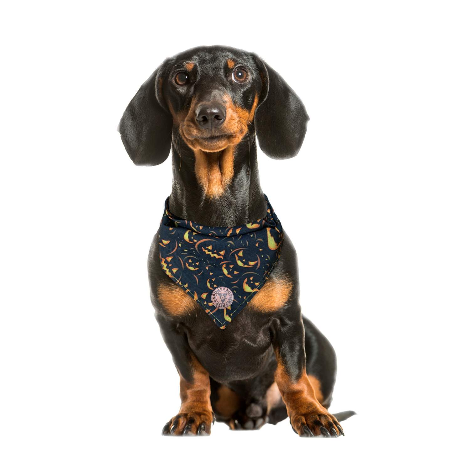 The Burley - Spooky Pumpkin on Black Tied Dog Bandana