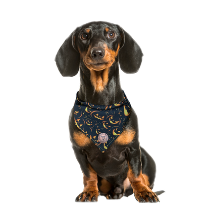 The Burley - Spooky Pumpkin on Black Tied Dog Bandana