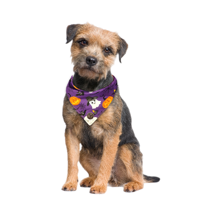 The Pendle - Purple Cute Ghosts & Witches Design Tied Dog Bandana