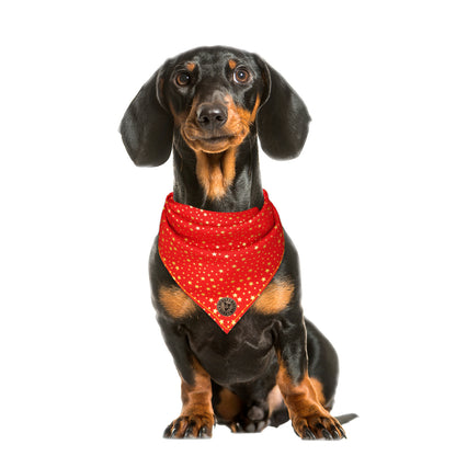 The Buckingham - Gold Star on Red Tied Dog Bandana