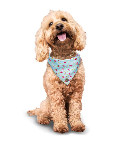 The Somerset - Blue Vintage Rose Dog Bandana