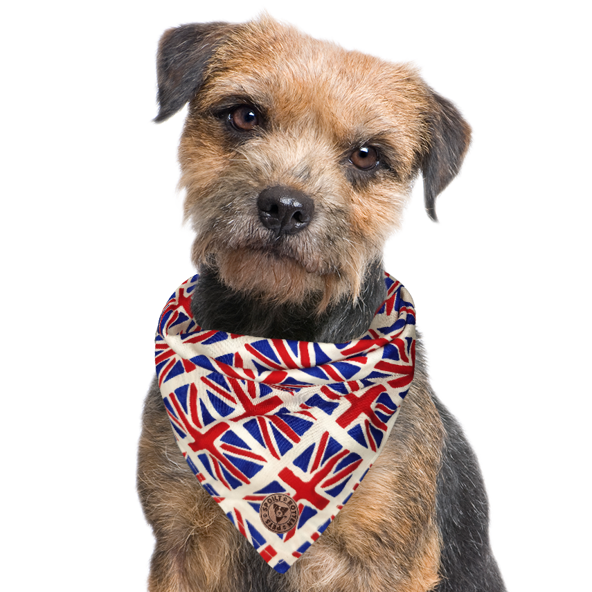 The London - Union Jack Tied Dog Bandana