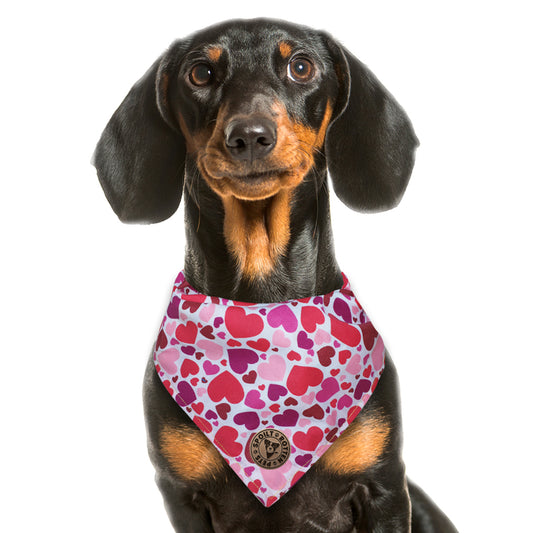 The Beaulieu - Pink Hearts Tied Dog Bandana