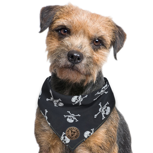 The Penzance - Skull & Crossbones Dog Bandana