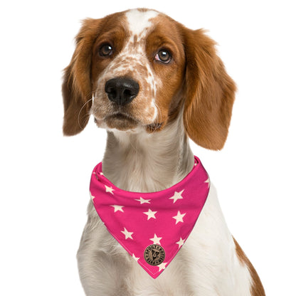 The Padstow - Large Star on Pink Tied Dog Bandana