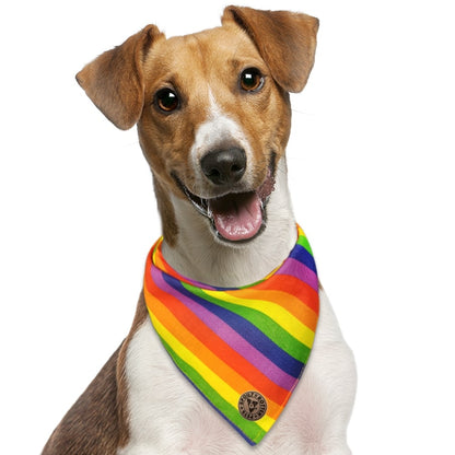 The Brighton - Pride Rainbow Stripe Tied Dog Bandana