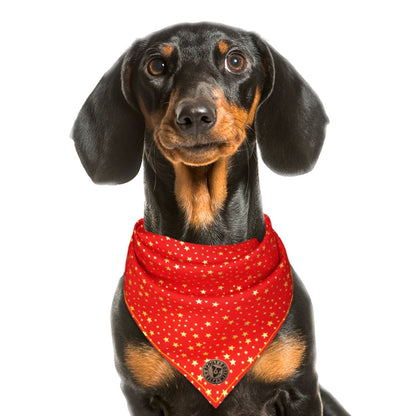 The Buckingham - Gold Star on Red Tied Dog Bandana