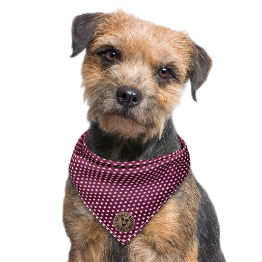 The Darlington - Mini Stars on Purple Tied Dog Bandana