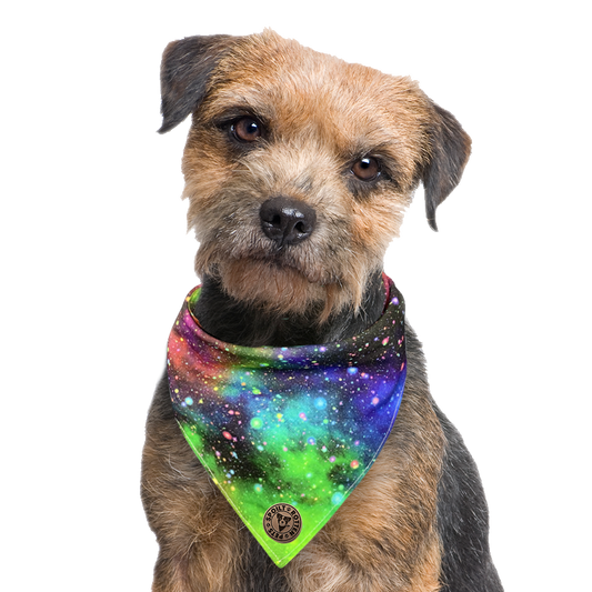 The Greenwich - Galaxy Rainbow Tied Dog Bandana