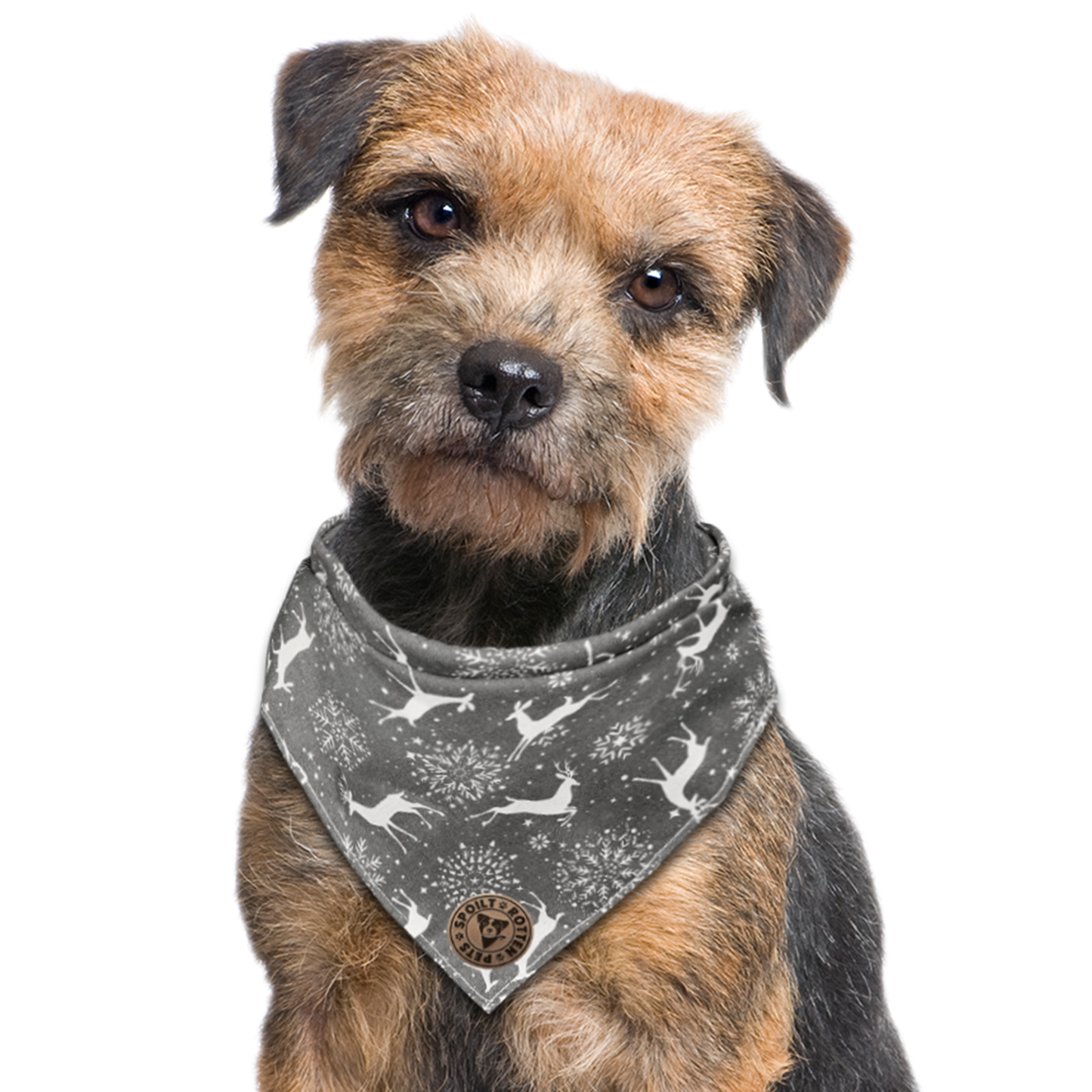 The Lambeth - Grey Stag Tied Dog Bandana