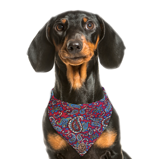 The Marlborough - Paisley Cord Red Tied Dog Bandana