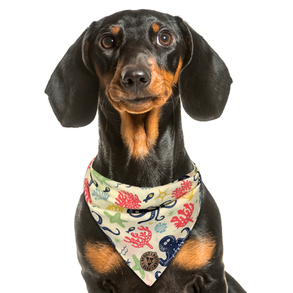 The Weymouth - Underwater Octopus Tied Dog Bandana