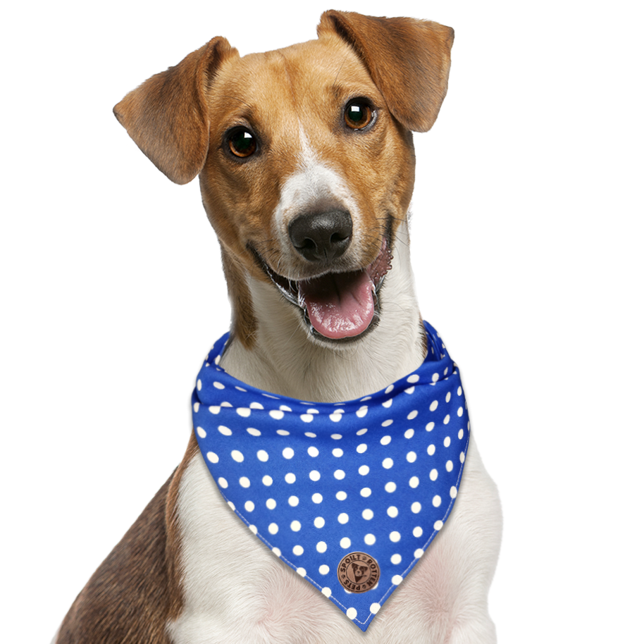 The Cambridge - Polka Dot Blue Tied Dog Bandana