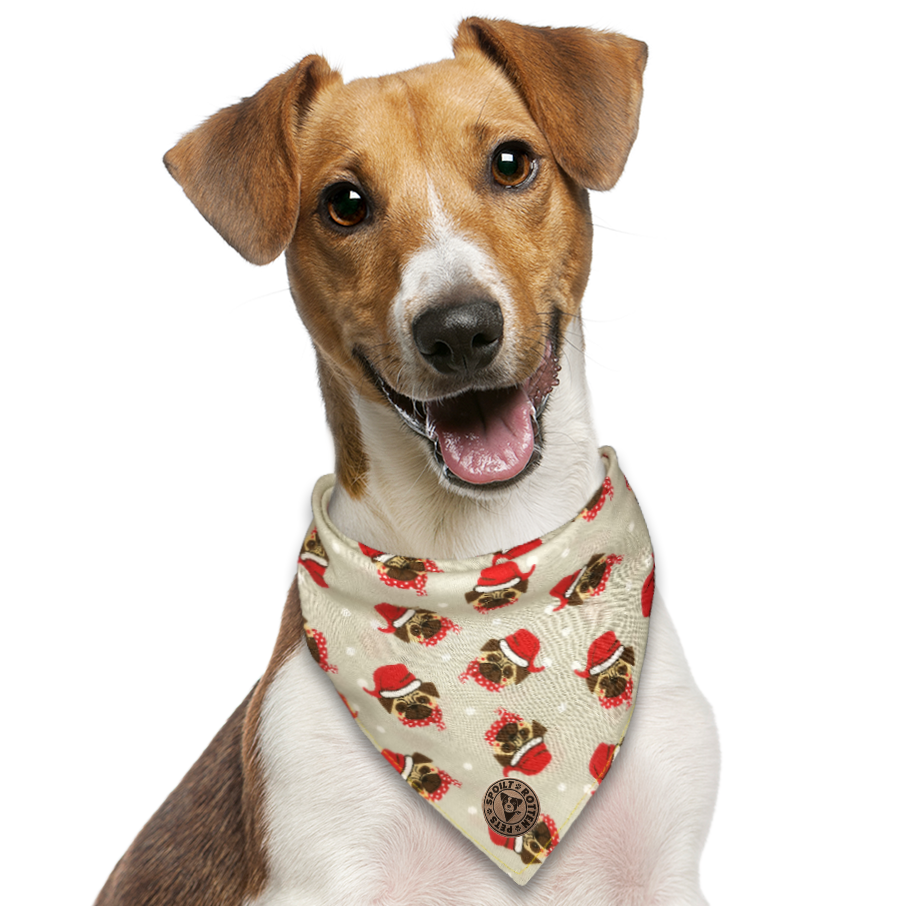 The Carnaby - Christmas Pugs Tied Dog Bandana