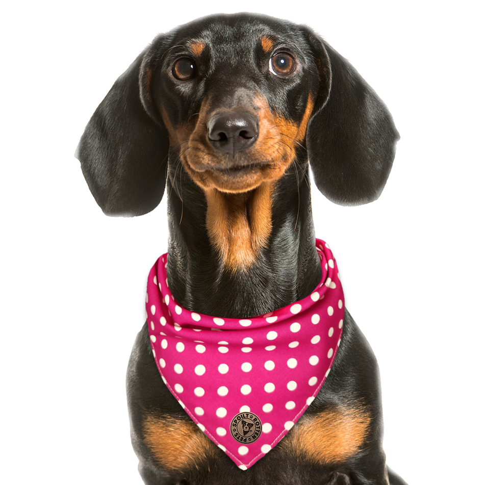 The Essex - Polka Dot Pink Tied Dog Bandana