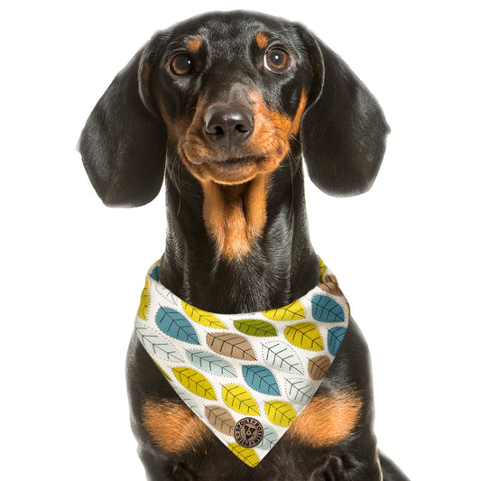 The Cotswold - Leaves Spring Tied Dog Bandana