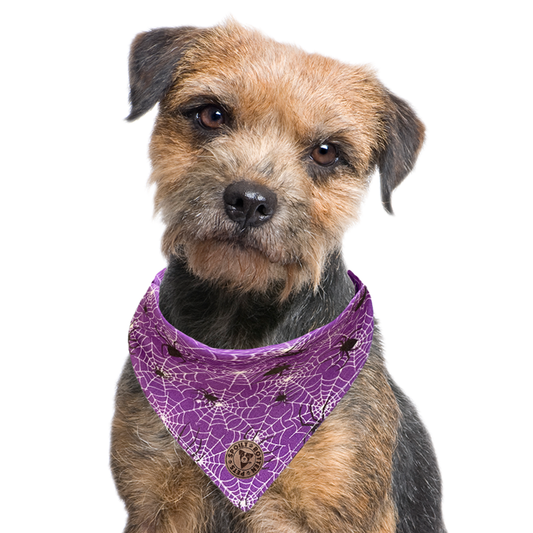 The Chillingham - Purple Cobweb Tied Dog Bandana