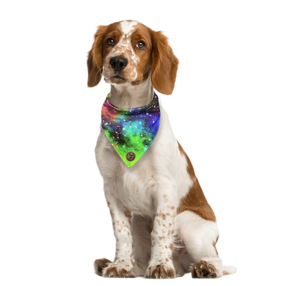 The Greenwich - Galaxy Rainbow Tied Dog Bandana